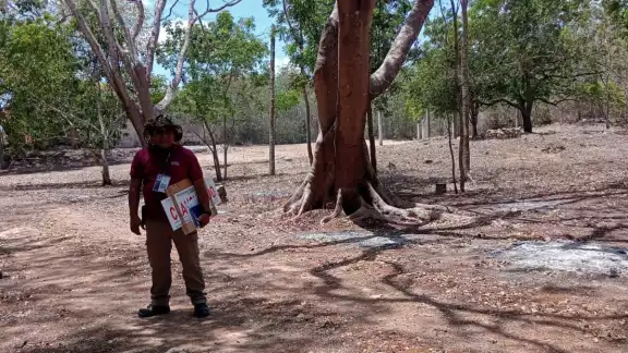 A un mes de la devastación del Rancho Uxmal, el expediente judicial avanza, pero no hay responsable
