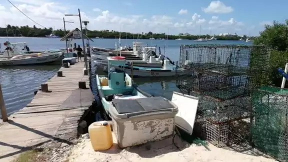 La veda durará 4 meses