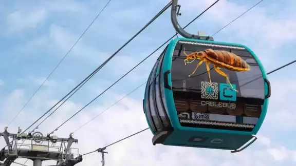 Las chinches comienzan a ser un problema en varias ciudades del mundo Las chinches comienzan a ser un problema en varias ciudades del mundo