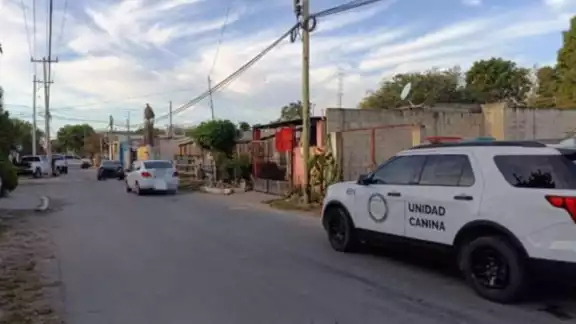 Los presuntos delincuentes quedaron a disposición de las autoridades federales Los presuntos delincuentes quedaron a disposición de las autoridades federales