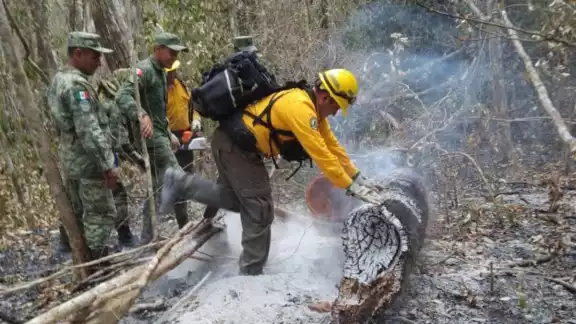 El incendio ya cuenta con un 25% de control El incendio ya cuenta con un 25% de control