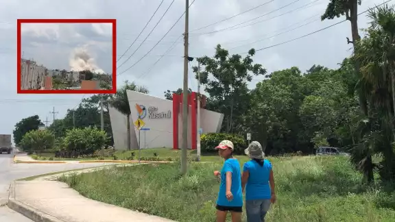 Se desplegaron brigadas para revisar los domicilio