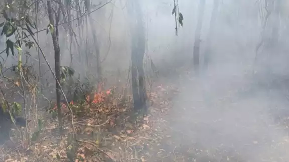 Fue activado el Equipo Estatal de Manejo de Incidentes, con el fin de sumar esfuerzos para atender el incendio foresta Fue activado el Equipo Estatal de Manejo de Incidentes, con el fin de sumar esfuerzos para atender el incendio foresta