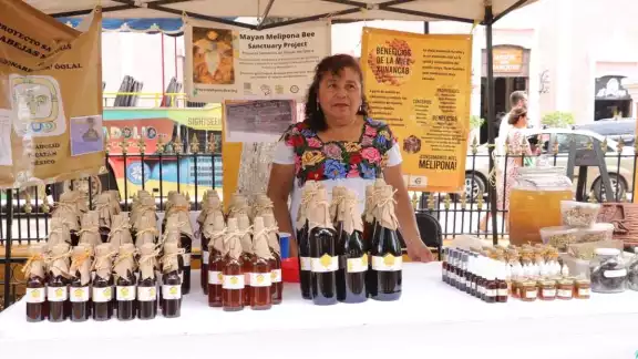 Las exposiciones se llevarán a cabo durante dos días, en un horario de 10:00 a 21:00 horas Las exposiciones se llevarán a cabo durante dos días, en un horario de 10:00 a 21:00 horas