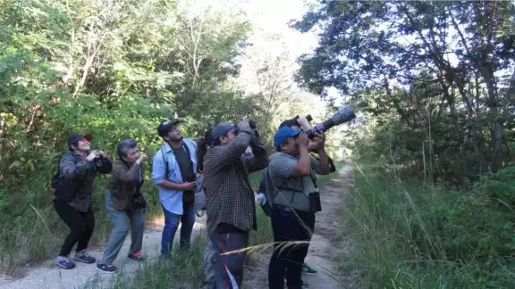 El birdwatching también ayuda a la reducción del estrés, debido a que las personas se trazan el objetivo de hallar ejemplares