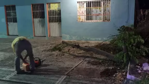 Los postes de telefonía ya se encontraban en mal estad, por lo que fueron fáciles de derribar