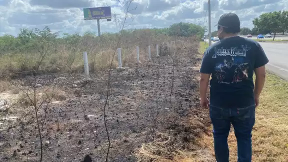 La mayoría de los casos ocurrieron en Mérida La mayoría de los casos ocurrieron en Mérida