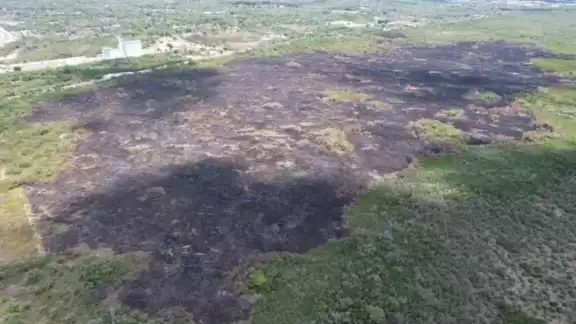 Combatientes de la Semabicce y Comisión Nacional Forestal se encuentran en los incendios Combatientes de la Semabicce y Comisión Nacional Forestal se encuentran en los incendios