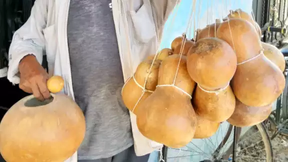 El entrevistado explicó que las nuevas generaciones prefieren usar recipientes de plástico que la cantimplora vegetal El entrevistado explicó que las nuevas generaciones prefieren usar recipientes de plástico que la cantimplora vegetal
