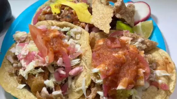El Festival de la Chicharra en Xcalachén en Mérida se realizará en abril El Festival de la Chicharra en Xcalachén en Mérida se realizará en abril