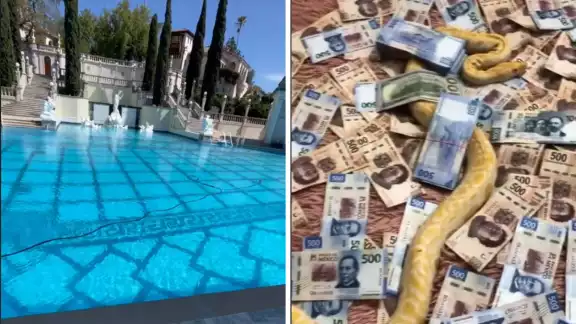 El TikTok del Mayito Jr. está lleno de videos donde presume sus lujos
