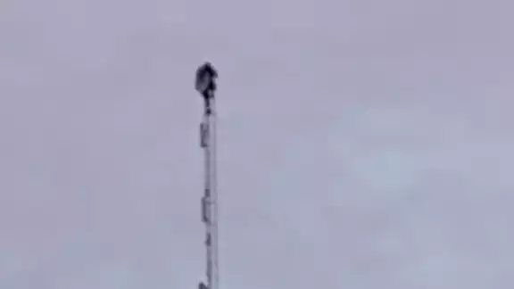 Después de horas convencieron al hombre de bajar Después de horas convencieron al hombre de bajar