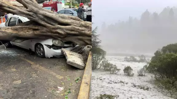 Fuertes vientos dejan afectaciones en CDMX y Edomex Fuertes vientos dejan afectaciones en CDMX y Edomex