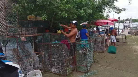 Están obligados a usar redes remendadas, trampas antiguas y no han podido renovar sus chozas del campamento de Contoy. 
