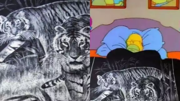 Los cobertores de tigre son famosos en todo México Los cobertores de tigre son famosos en todo México