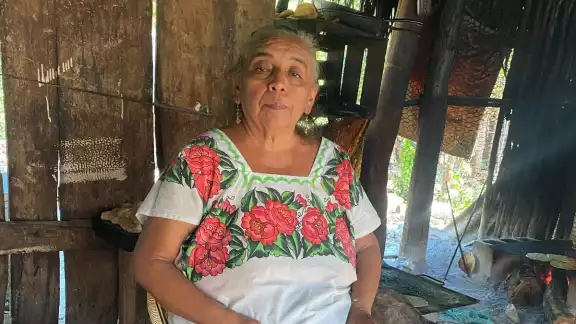 Juana Bautista Uc acusa a su ahijada María Socorro Yérvez Vera de poner en venta su terreno Juana Bautista Uc acusa a su ahijada María Socorro Yérvez Vera de poner en venta su terreno