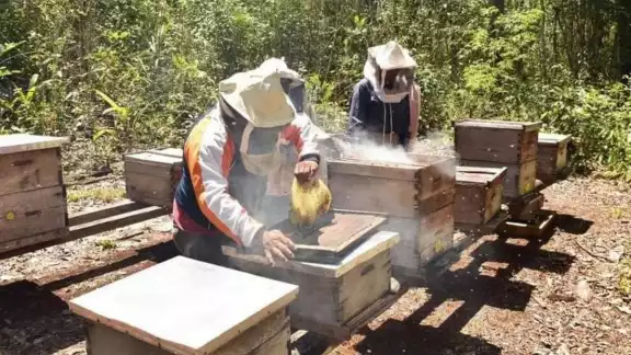 La escasa producción, el bajo precio de la miel han generado desánimo en los apicultores La escasa producción, el bajo precio de la miel han generado desánimo en los apicultores