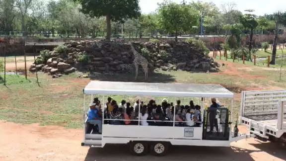 El recorrido en el Safari tiene una duración de aproximadamente media hora El recorrido en el Safari tiene una duración de aproximadamente media hora