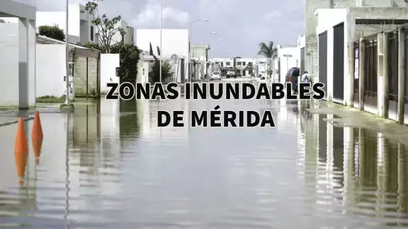 La zona de riesgo está focalizada en el Norte y abarca 41 mil 195 hectáreas La zona de riesgo está focalizada en el Norte y abarca 41 mil 195 hectáreas