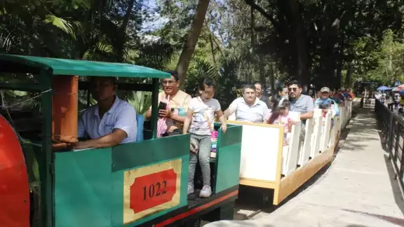 Apenas el viernes pasado se informó sobre el descarrillamiento del trenecito