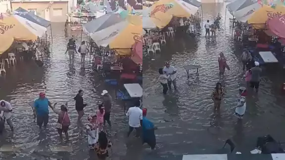 El video se ha hecho viral en redes sociales en Yucatán
