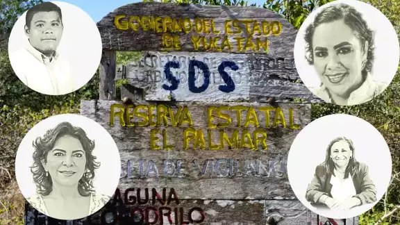 Autoridades de los tres niveles de Gobierno han solapado los daños a la flora y fauna de la zona costera en el Norponiente