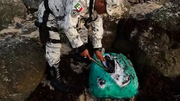 La cocaína apareció en la carretera costera Tulum-Boca Paila, a la altura de Playa Mirador La cocaína apareció en la carretera costera Tulum-Boca Paila, a la altura de Playa Mirador