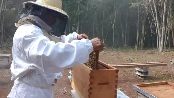 El frío y el calor de los últimos meses afectan la producción El frío y el calor de los últimos meses afectan la producción