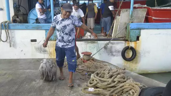 Las ventas de pulpo durante el mes de septiembre fueron bajas Las ventas de pulpo durante el mes de septiembre fueron bajas