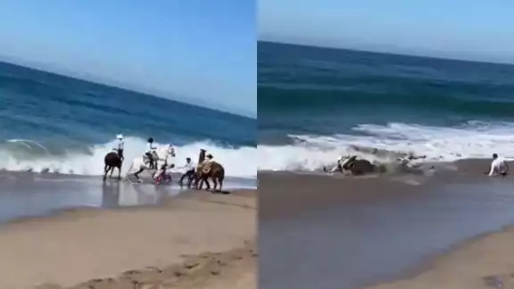 Los vaqueros y sus caballos fueron rescatados, logrando salir del agua Los vaqueros y sus caballos fueron rescatados, logrando salir del agua