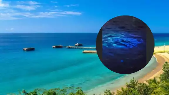Ya son varios los avistamientos de estos objetos submarinos en gran parte del mundo Ya son varios los avistamientos de estos objetos submarinos en gran parte del mundo
