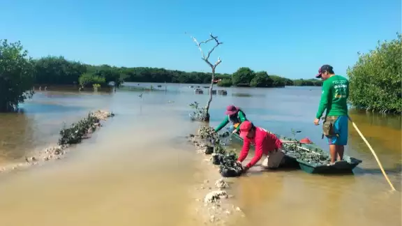 Así se desarrolla la planeación de las labores de protección a Sisal