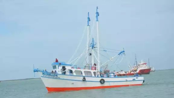 Hicieron un llamado a las autoridades de la Conapesca, Secretaría de Marina y Capitanías de Puerto Hicieron un llamado a las autoridades de la Conapesca, Secretaría de Marina y Capitanías de Puerto