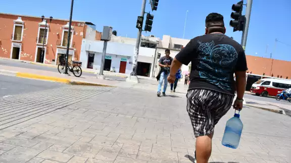 IMSS Campeche exhorta a la población a mantener hábitos alimenticios IMSS Campeche exhorta a la población a mantener hábitos alimenticios