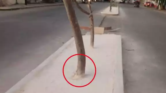El Ayuntamiento de Kanasín ya trató de arreglar la banqueta mal diseñada El Ayuntamiento de Kanasín ya trató de arreglar la banqueta mal diseñada