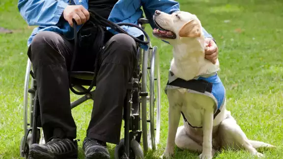 Estos perros de asistencia psiquiatra pueden impedir suicidios