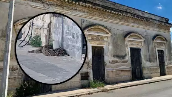 Se temía que la boa fuera atacada por personas o atropellada por un auto Se temía que la boa fuera atacada por personas o atropellada por un auto