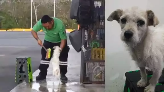 Así bañaron al perrito en la gasolinera de Calkiní