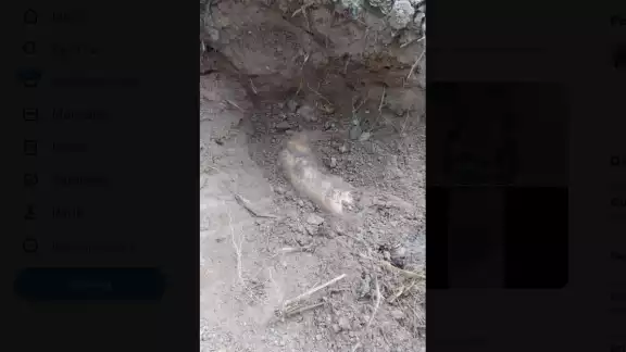 Ahora se investiga la identidad de los cuerpos encontrados