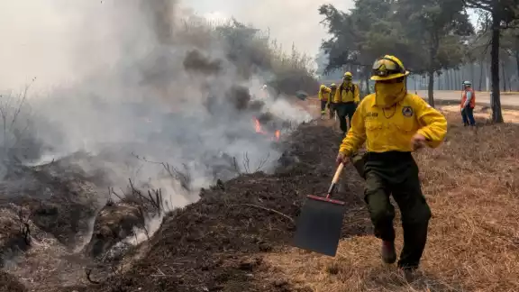 La Conafor dispone de 423 brigadas, que suman 4 mil 193 combatientes especializados en la lucha contra incendios La Conafor dispone de 423 brigadas, que suman 4 mil 193 combatientes especializados en la lucha contra incendios