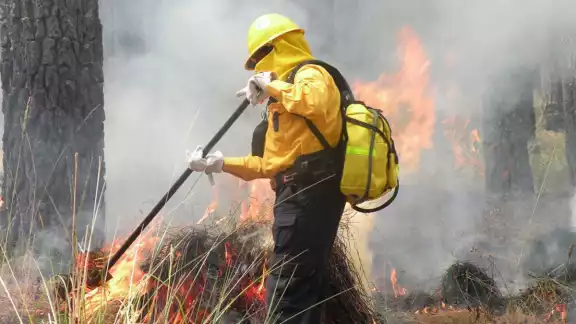 Las lluvias registradas en Campeche han reducido el índice de incendios en una semana Las lluvias registradas en Campeche han reducido el índice de incendios en una semana