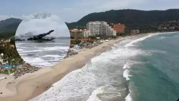 Bañistas captaron al enorme animal nadando en el mar