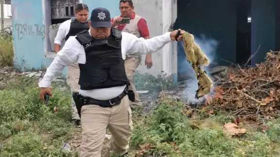 El incendio fue provocado por dejar una colilla de cigarro sobre un montón de basura