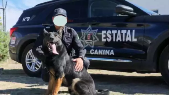 La perrita fue un regalo de Miami a la policía de Aguascalientes La perrita fue un regalo de Miami a la policía de Aguascalientes