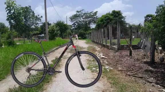 A pesar de la intensa búsqueda no se encontró la bicicleta A pesar de la intensa búsqueda no se encontró la bicicleta