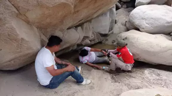 Los migrantes pidieron ser llevados a un hotel donde pasarían la noche