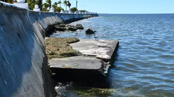 La Conagua lamentó que sean los ayuntamientos quienes "contaminen" los manglares y mares La Conagua lamentó que sean los ayuntamientos quienes "contaminen" los manglares y mares