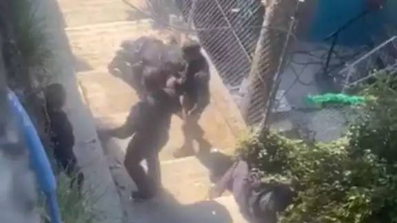 El enfrentamiento armado habría involucrado a miembros del crimen organizado