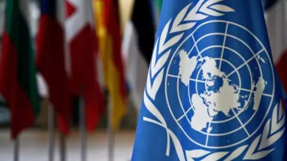El 21 de septiembre fue establecido por la ONU, como el Día Internacional de la Paz, sin embargo, existen otras organizaciones que también la promueven