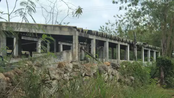 Megagranjas de Kekén dañan la calidad del agua para Mérida Megagranjas de Kekén dañan la calidad del agua para Mérida